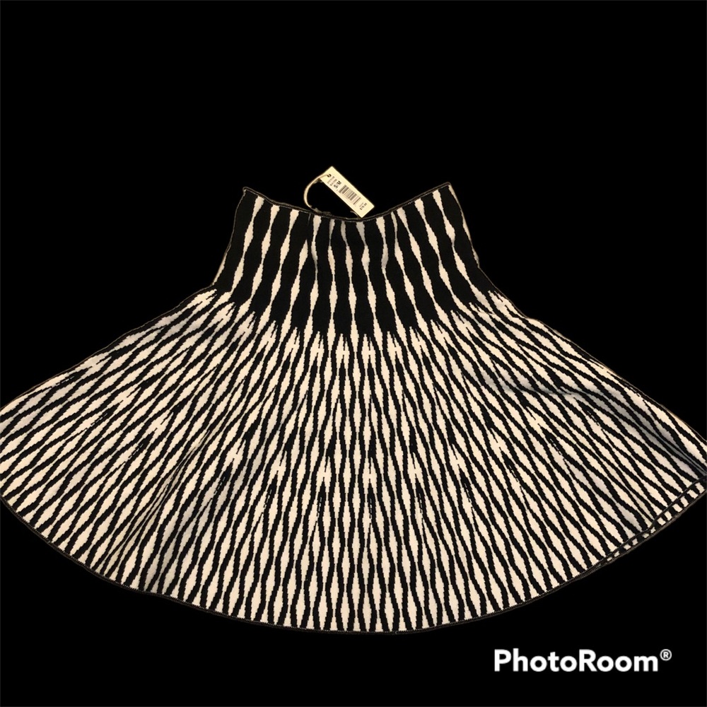 Max Studio Sweater Skirt